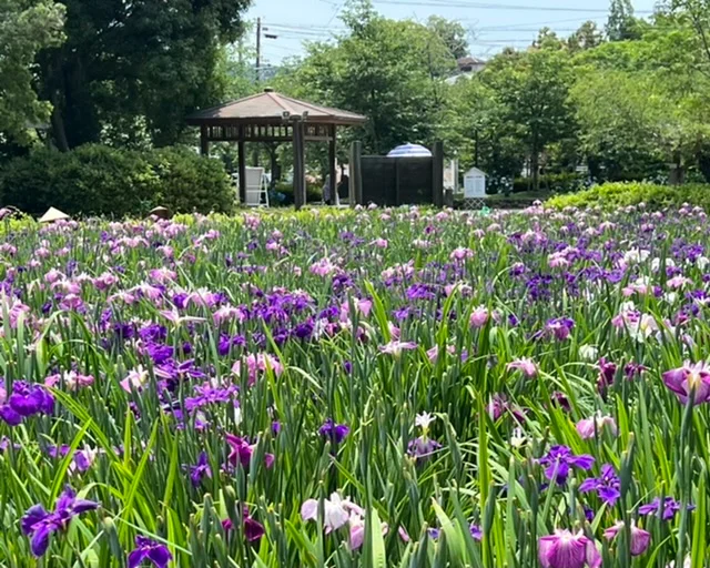【長崎】大村公園をお散歩してきたよ♪_3