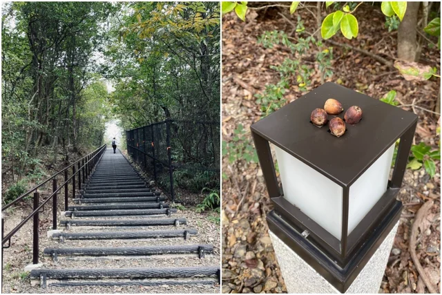 ジブリパーク・どんどこ森