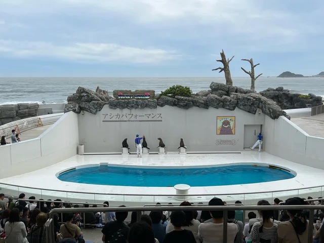 【水族館日記】鴨川シーワールドに行ってきました_6