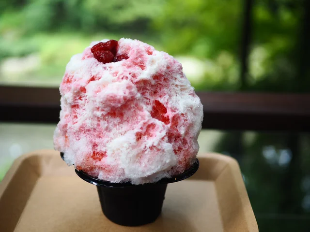 【関東日帰り旅】東京の大自然の中で味わう!《黒茶屋》の絶品かき氷と川遊び♡_11