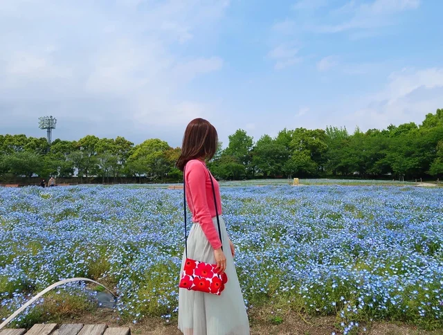 ネモフィラ畑の前に立つ女性
