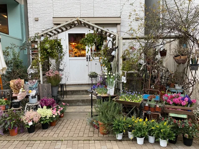 渋谷在住者おすすめ、奥渋散歩で行きたいおしゃれ花屋3選、レディーバグス（LadyBugs）
