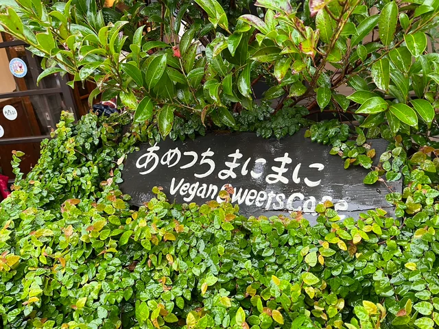 【秩父の隠れ家的ヴィーガンカフェ】あめつちまにまに 古民家を使った思わず長居しちゃうカフェ!_2
