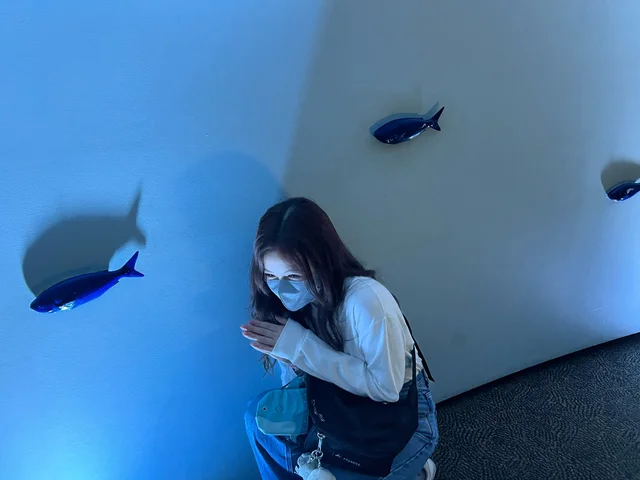 【水族館日記】鴨川シーワールドに行ってきました_1