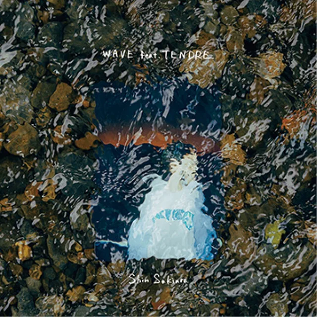 Shin SakiuraのDIGITAL SINGLE『WAVE』のジャケ写