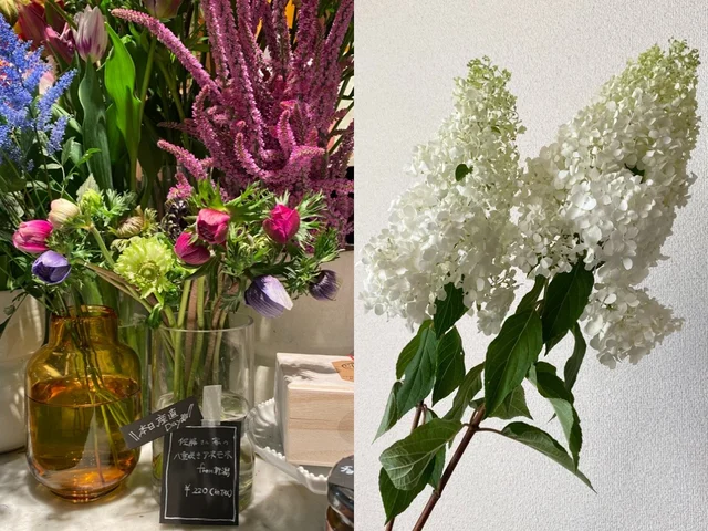 奥渋の人気花屋3選（MORE JAPAN 東京・渋谷編）The Little Bar Flowers（リトル・バー）
