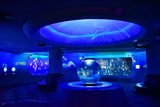 新江ノ島水族館のクラゲファンタジーホール