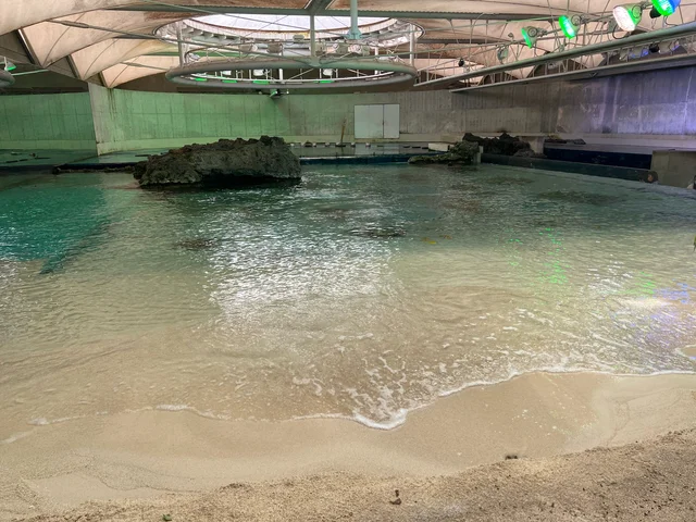 【水族館日記】鴨川シーワールドに行ってきました_4