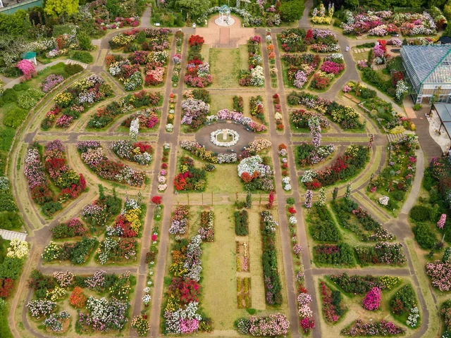 『京成バラ園』、「ハートの女王の展望台」からの景色のイメージ