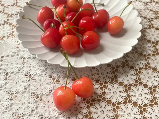 『おいしい山形プラザ』おすすめ品「佐藤錦」