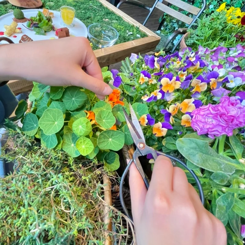 埼玉・熊谷《おふろcafe ハレニワの湯》の花やハーブを摘む体験型アフタヌーンティー《食べるフラワーガーデン》