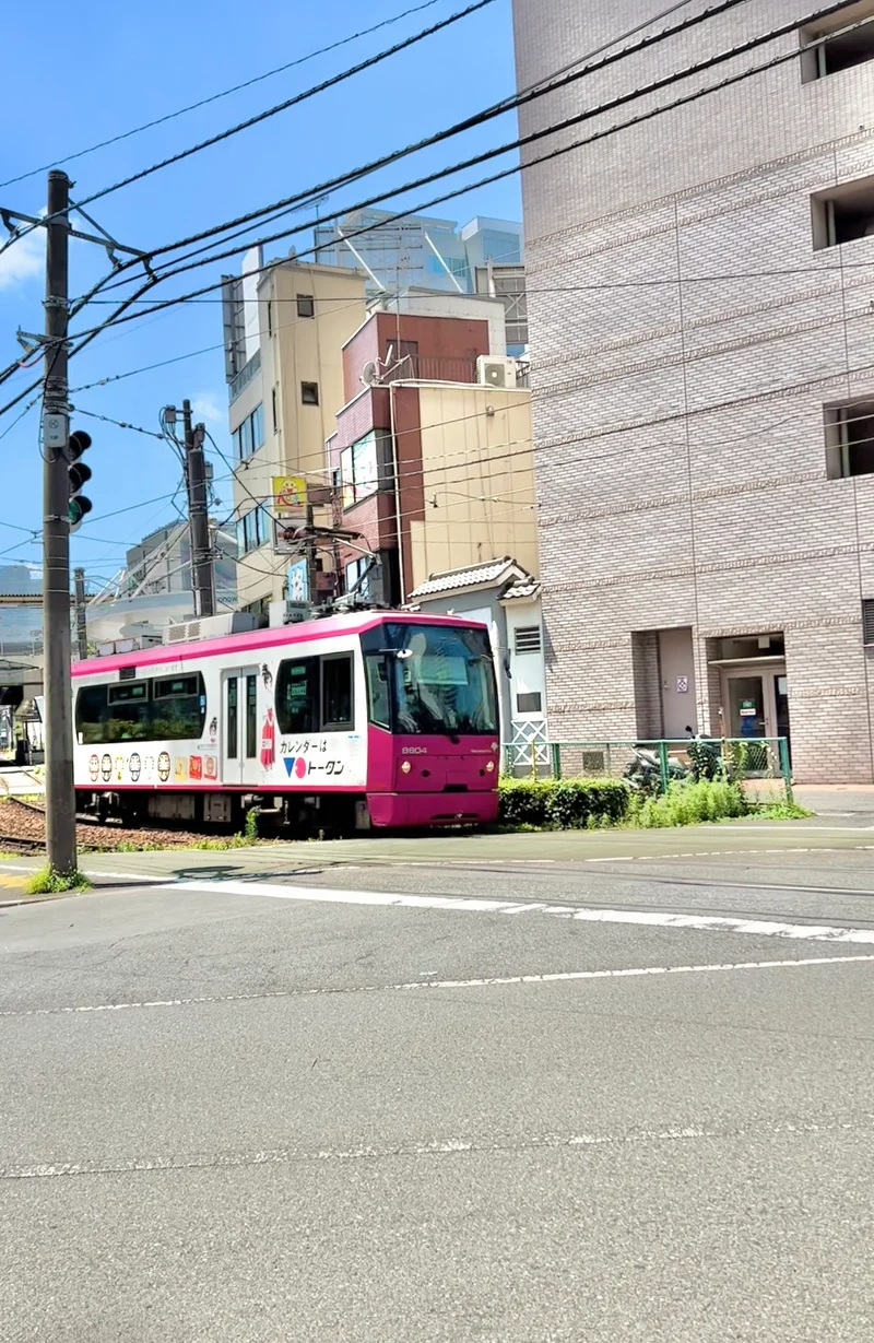 【ノスタルジックな東京 大塚】星野リゾーの画像_34