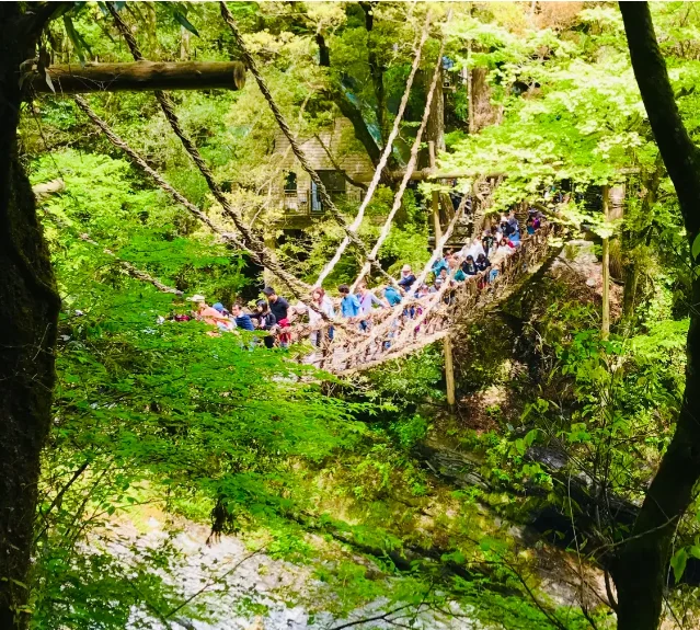 【女子旅におすすめの国内スポット】京都のの画像_1