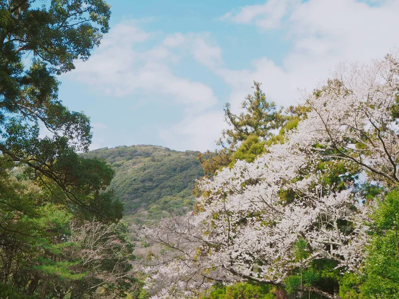 【女子旅におすすめ】一生に一度はお伊勢参の画像_17