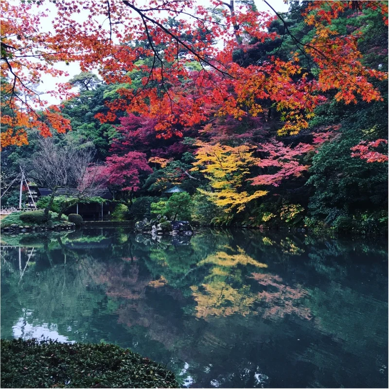 金沢・兼六園の紅葉の美しさにうっとり♡の画像_1