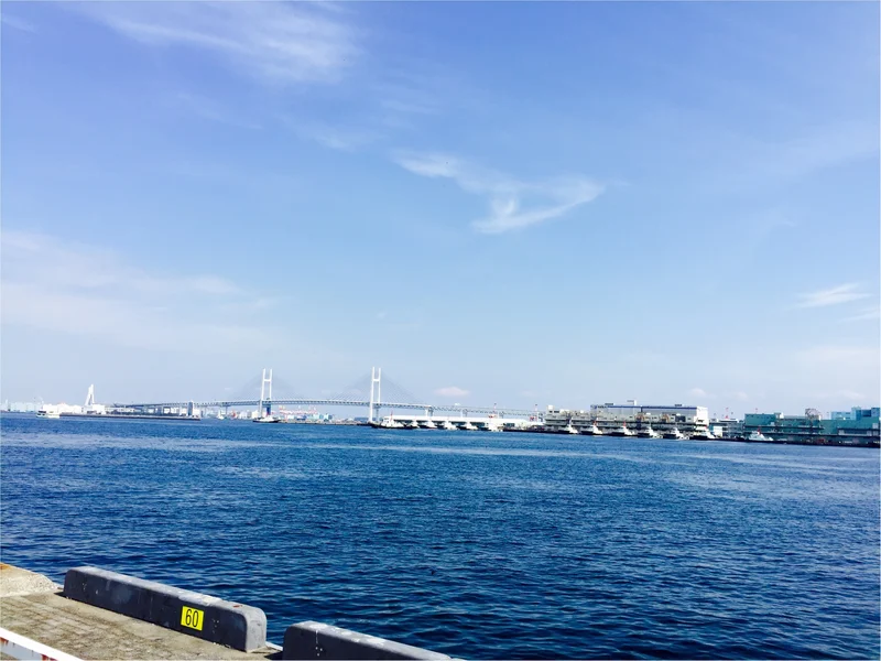 みなとみらい♡横浜港大さん橋マルシェで出の画像_2