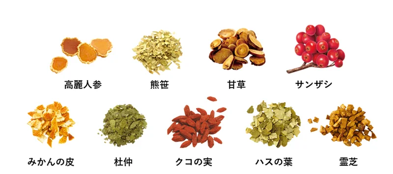 お茶に含まれる9種類の東洋素材