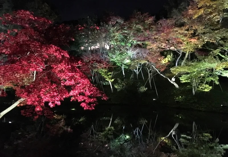 【女子旅におすすめ】京都行くなら紅葉！♡の画像_2