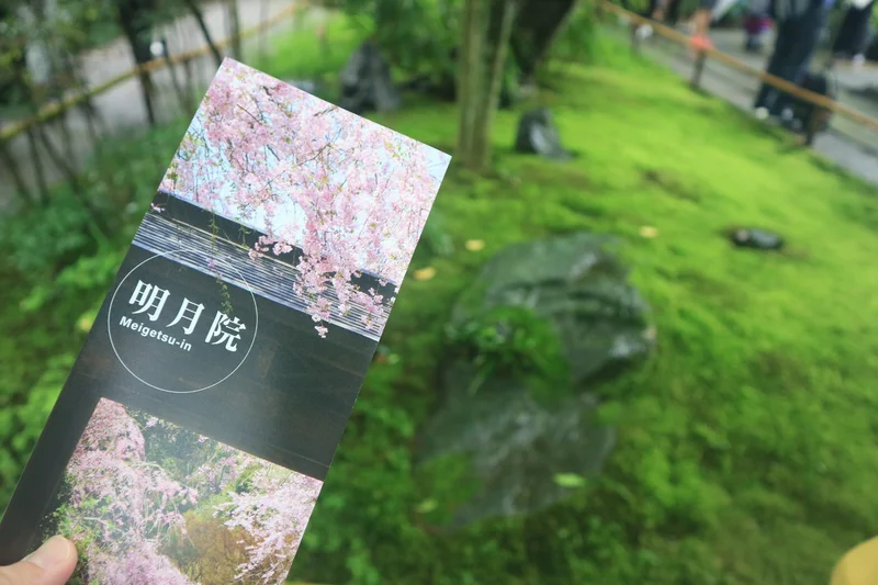 夏着物で鎌倉女子旅♡  紫陽花がとってもの画像_5