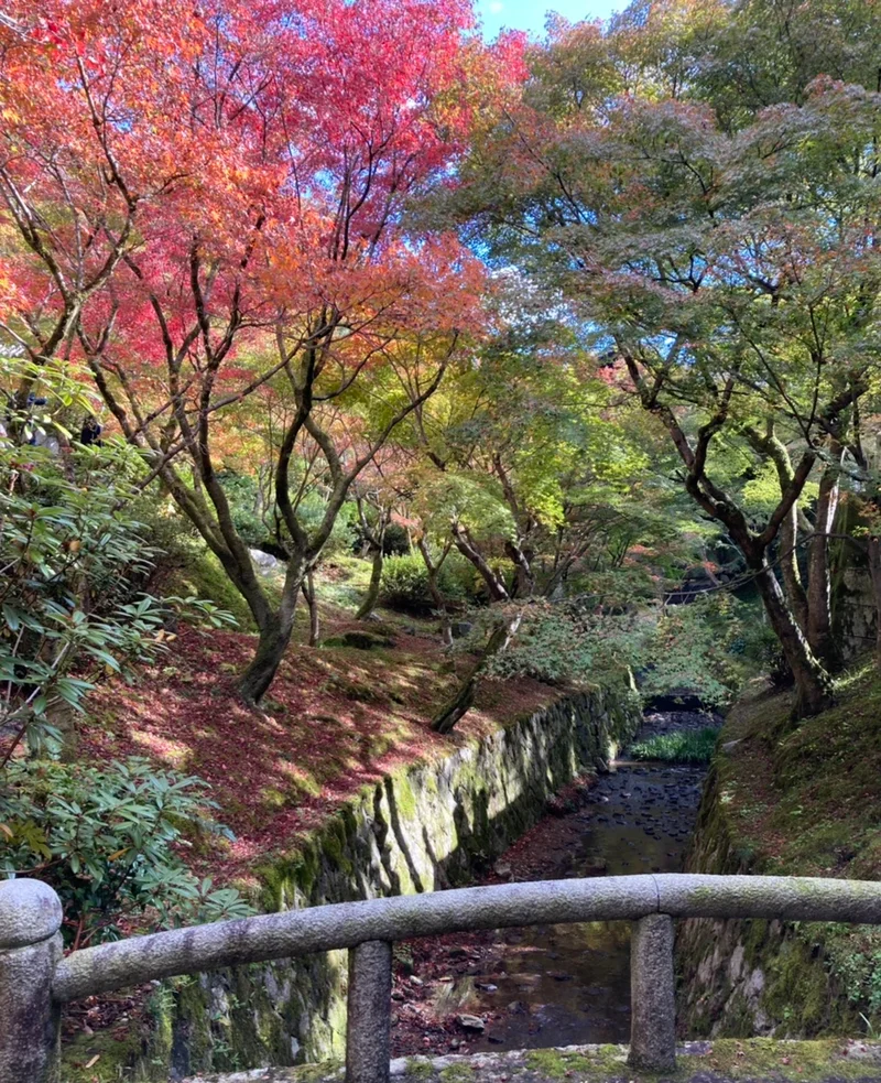 東福寺