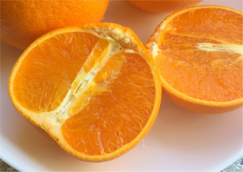 【フルーツ好きがオススメする幻の柑橘】ビの画像_3