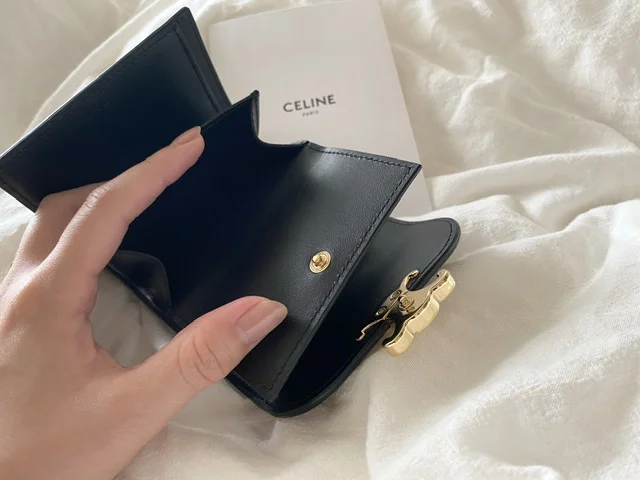 セリーヌの財布の中身