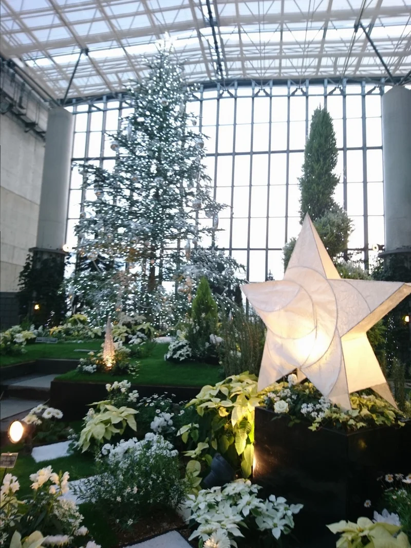 奇跡の星の植物館　淡路島　温室　植物園