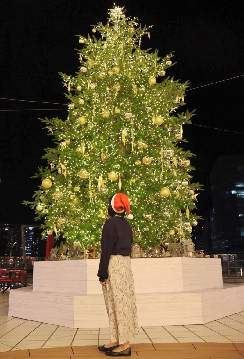 【一足早いクリスマス】横浜ベイクォーターの画像_4