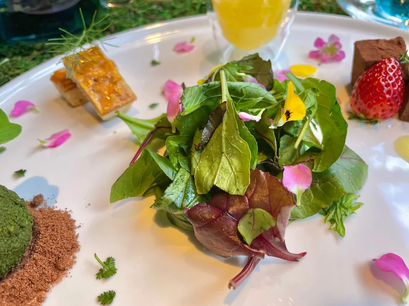 埼玉・熊谷《おふろcafe ハレニワの湯》の花やハーブを摘む体験型アフタヌーンティー《食べるフラワーガーデン》のエディブルフラワーサラダ