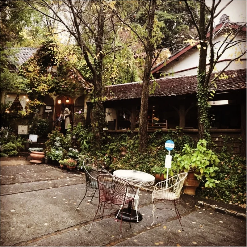 【カフェ巡り】まるでジブリの世界♡フォトジェニックな可愛いスポット『ぬくもりの森』 ～浜松おしゃれカフェ巡り①～