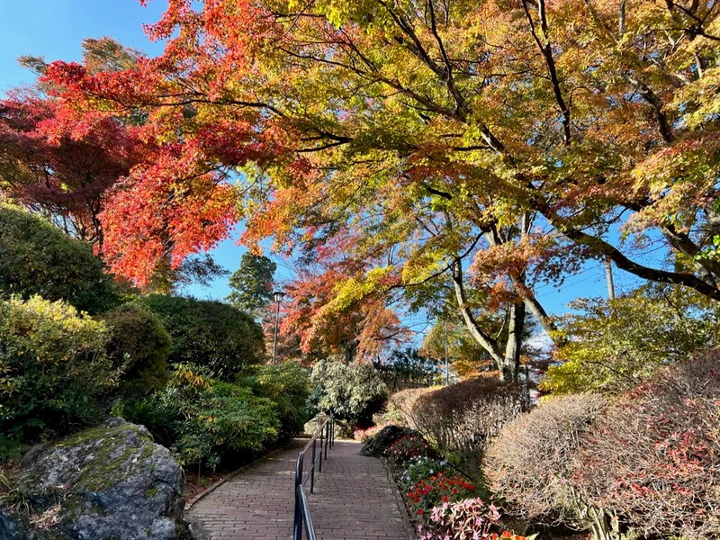 【謎解き】×【紅葉】で楽しむ、秋の『箱根の画像_4