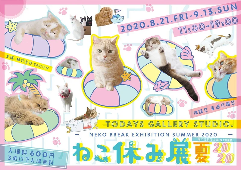 可愛い“にゃんこ”が一堂に！ 猫の合同写真展＆物販展「ねこ休み展 夏 2020」が、東京・浅草橋で開催中