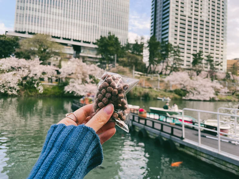 【飯田橋CANAL CAFE お花見完全の画像_9