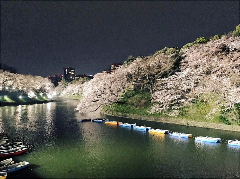 夜桜はしごしました♡六本木〜千鳥ヶ淵の画像_2