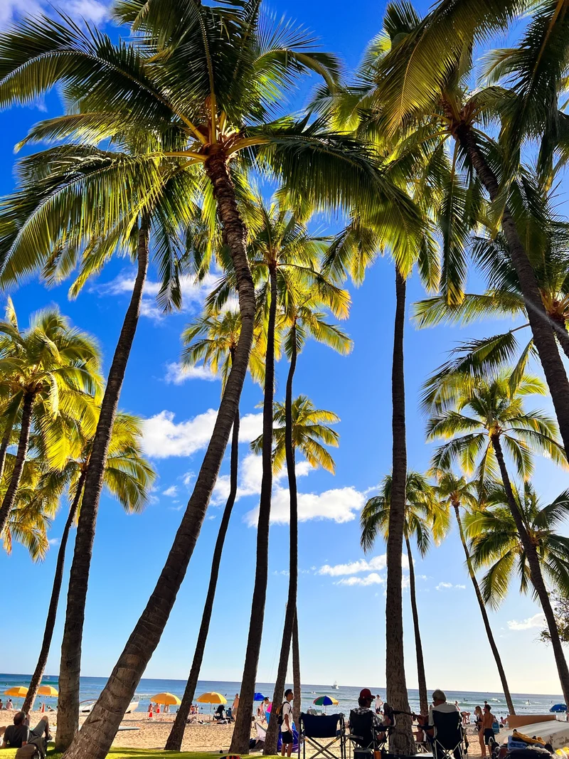 3年ぶりの海外旅行へ❤︎ ⇨ Hawaiiへ行ってきました⭐︎