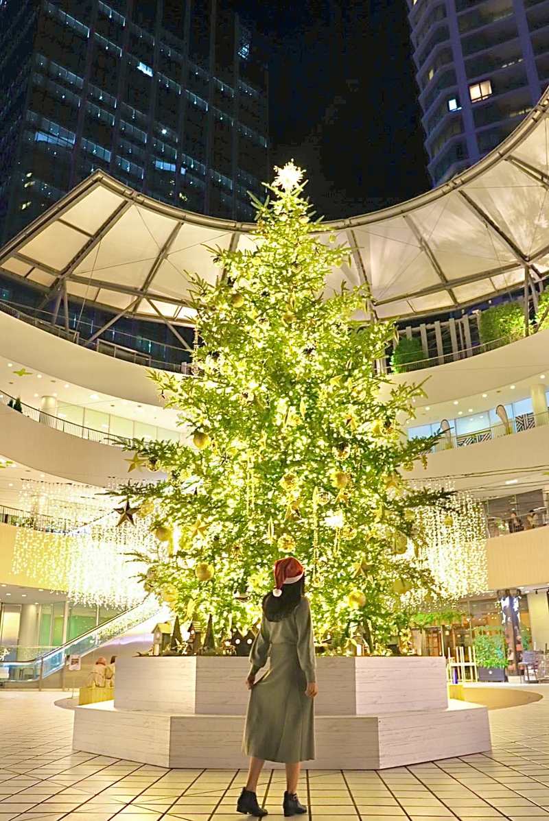 【一足早いクリスマス】横浜ベイクォーターの画像_3