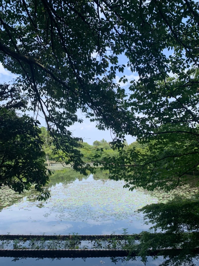 【京都旅第一弾】北野天満宮・龍安寺②