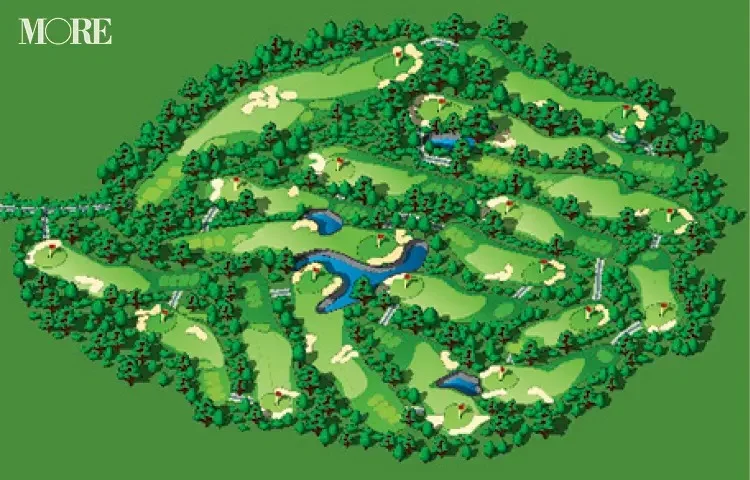 ゴルフコースの全体図