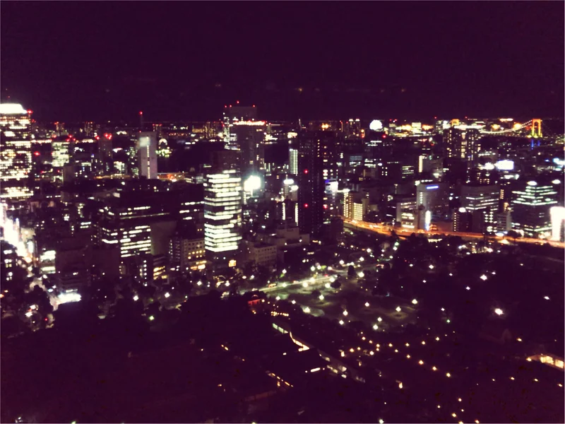 東京散歩～東京タワーのプロジェクションマの画像_7