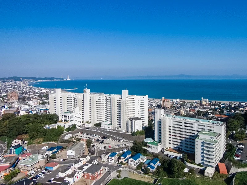 「河津桜」の絶景も！ 神奈川県『マホロバの画像_5