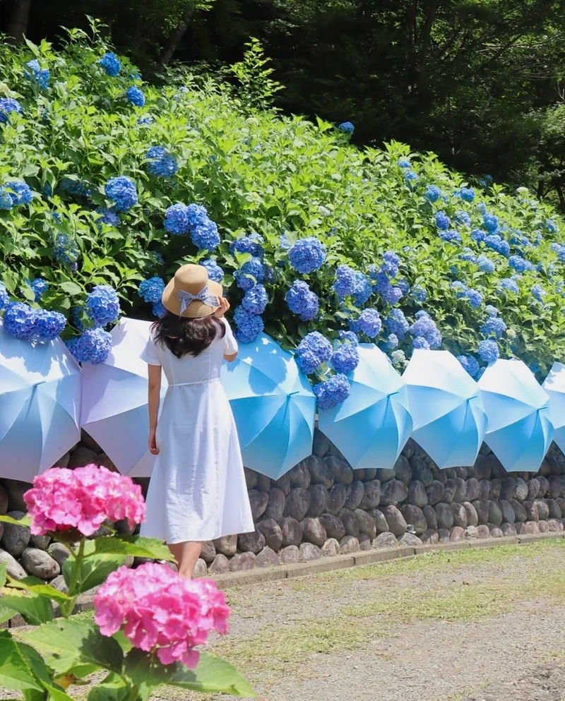 【梅雨から初夏がおすすめ】絶対に映える静岡女子旅スポット