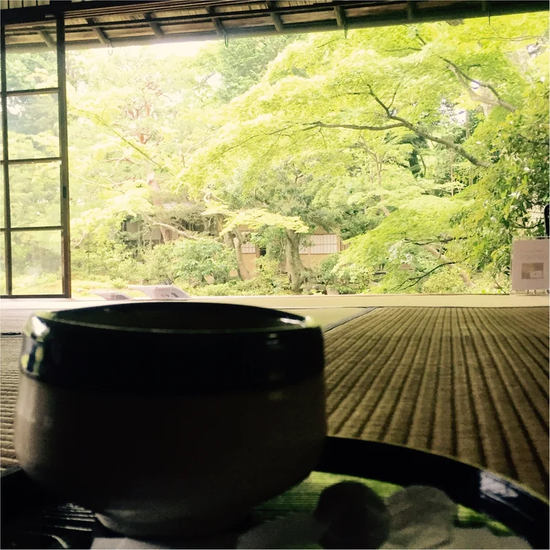 【京都】無鄰菴で新緑を眺めながら抹茶を飲の画像_4