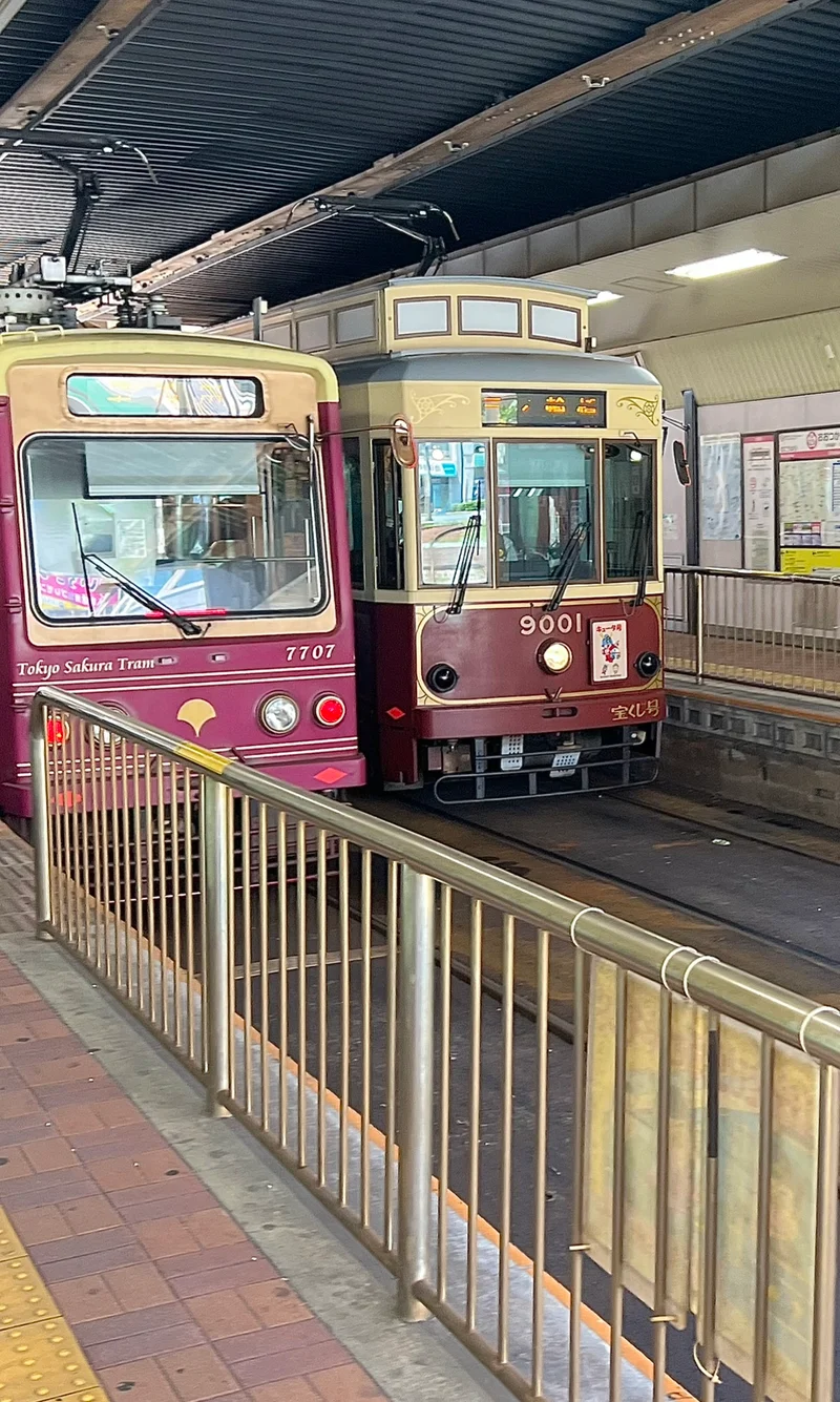 【ノスタルジックな東京 大塚】星野リゾーの画像_35