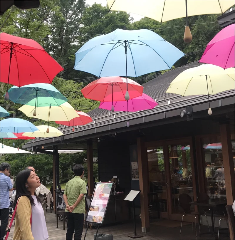 【軽井沢】梅雨が楽しく！カラフルなイベンの画像_3