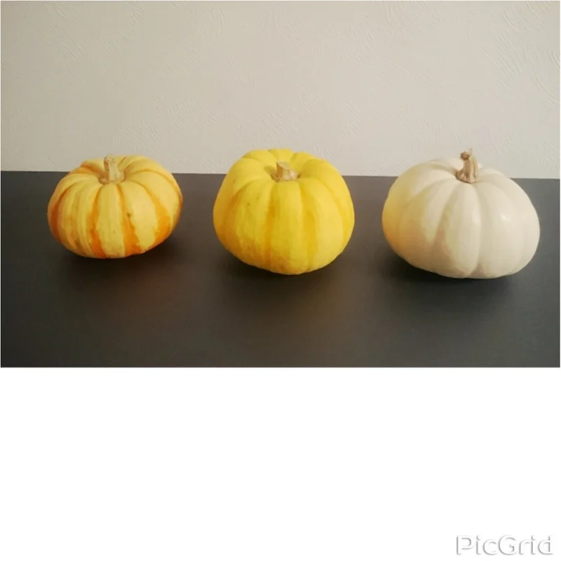 ☆かぼちゃ料理！ホワイトかぼちゃも！☆