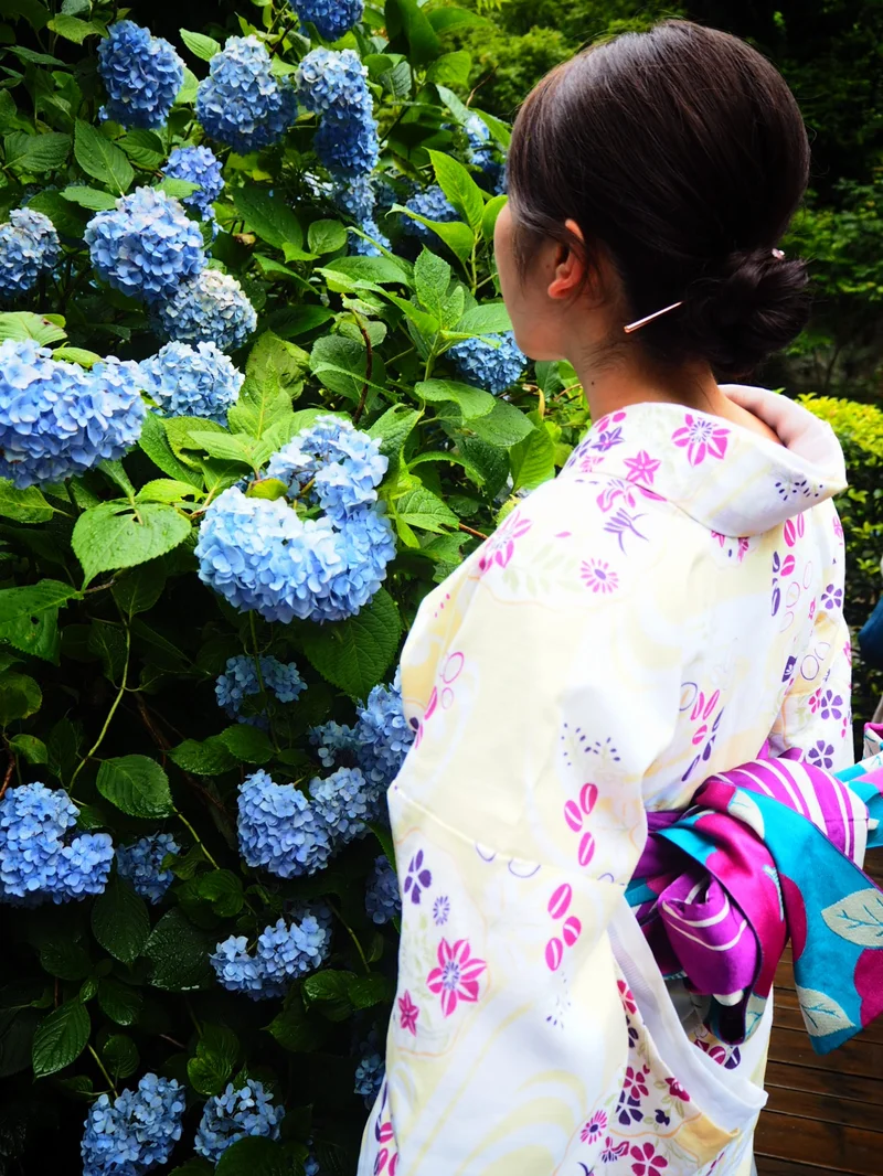 夏着物で鎌倉女子旅♡  紫陽花がとってもの画像_13
