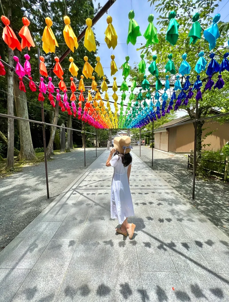 【梅雨から初夏がおすすめ】絶対に映える静の画像_1