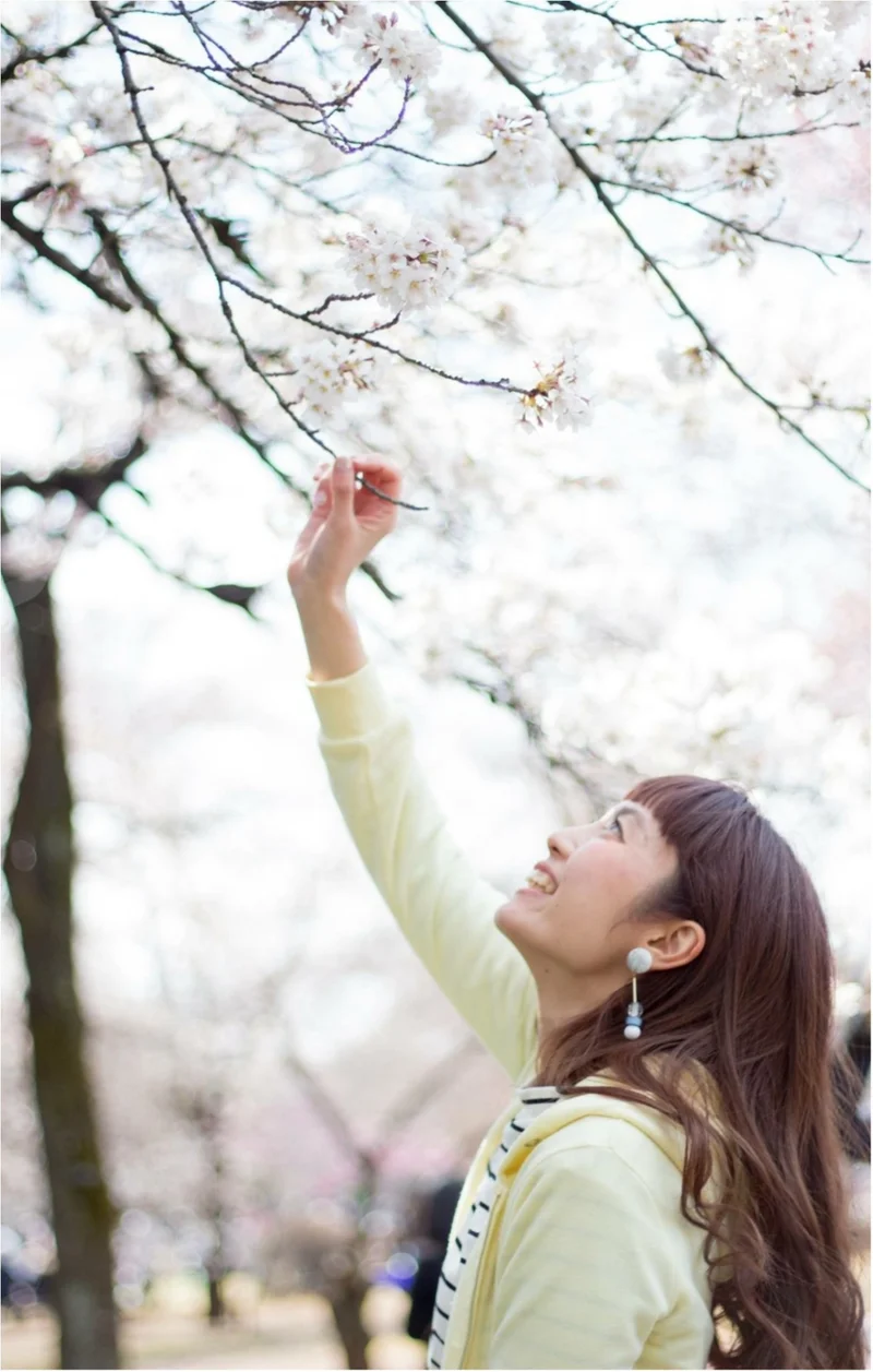 みんながオススメする『お花見スポット』まとめ♡