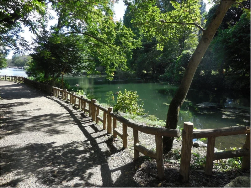 井の頭公園　吉祥寺　ウォーキング　パスタ　カフェ