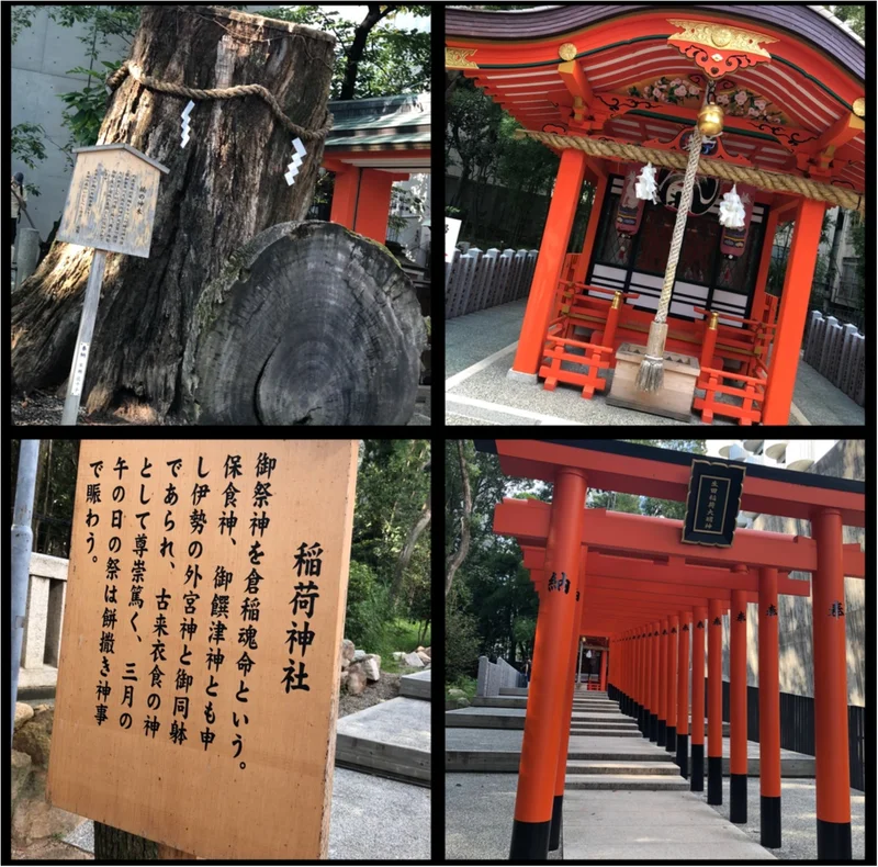 神戸の赤い糸結び♡生田神社へ。モアハピ部の画像_6